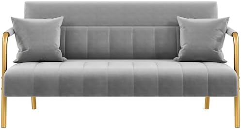 Yaheetech 56.5" W Modern Loveseat 2 Seater Sofa Luxurious Velvet Fabric Couch with Gold-Tone Metal Arms and Legs for Living Room, Home Office, Studio Light Gray