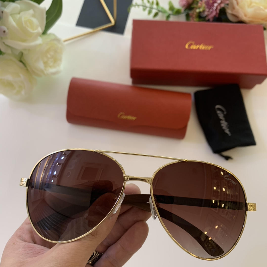 Cartier Men’s Sunglasses ASS650038